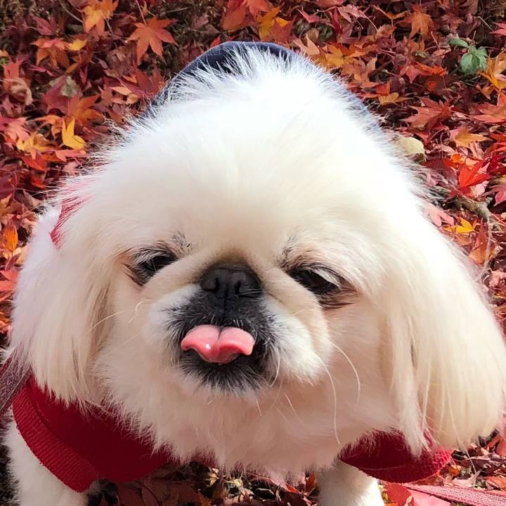 D2dba418 ad0f 4805 88e6 9c77a2cab6e2 1541400103865