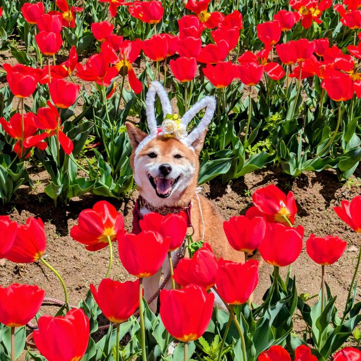 D2dba7b1 a654 4bb7 be00 ff35bcdb6eef 1744637448386