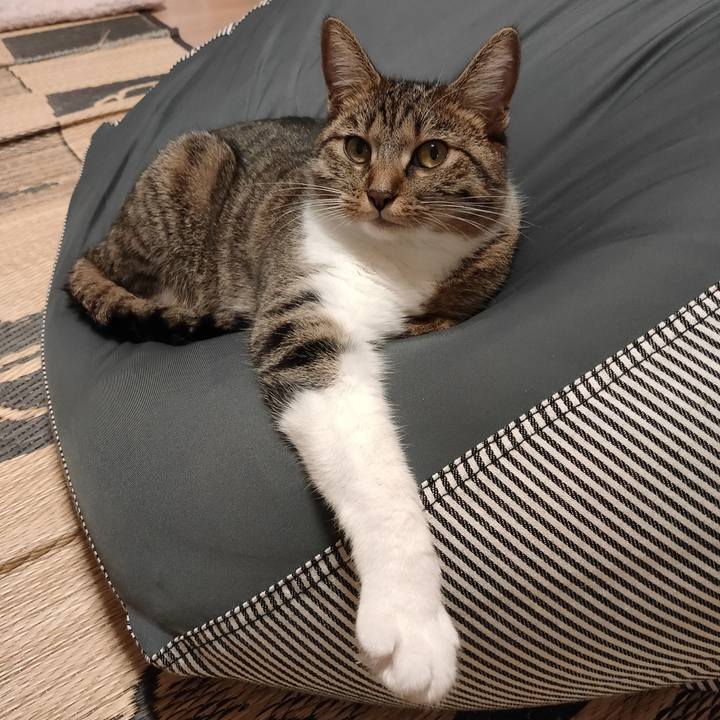 D2dc1385 e49e 4f6a b28d 682eafebac2f 1661419944094