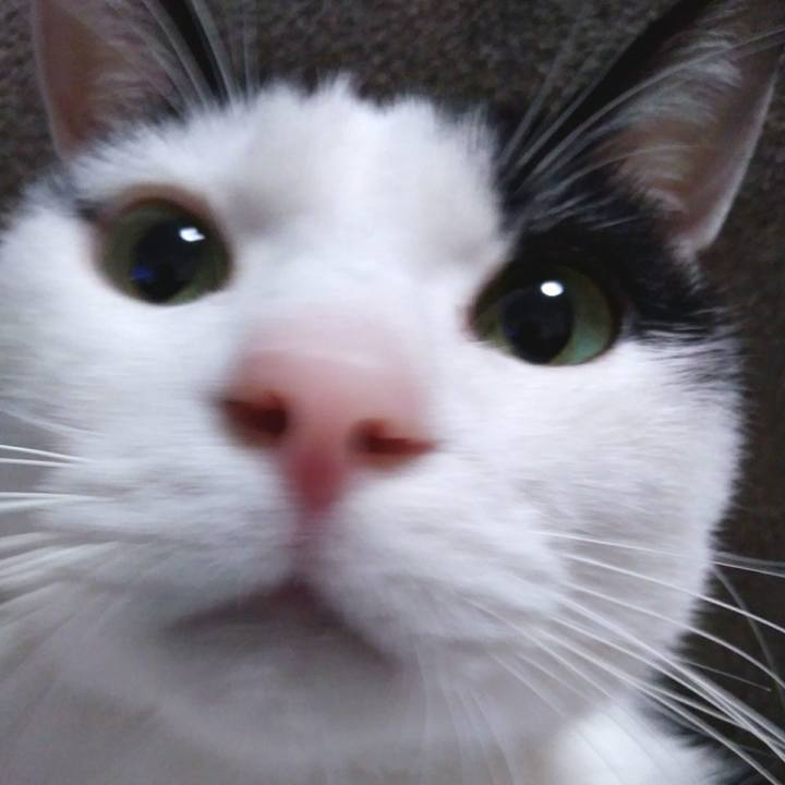 D2dc274b b53f 4c11 a865 33d8b422f6eb 1544969011081