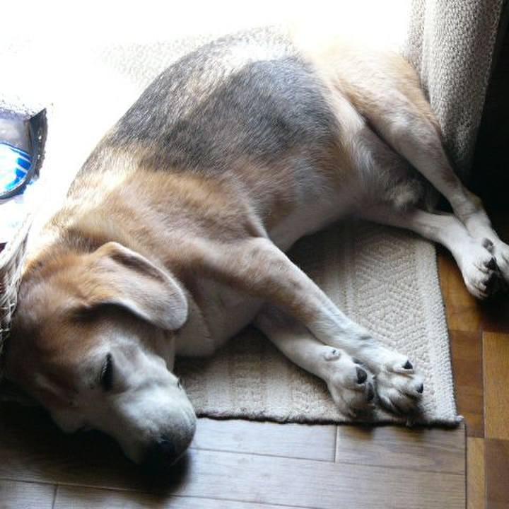 D2dc5408 28b7 4752 bb23 50a89155e89a 1669251807572