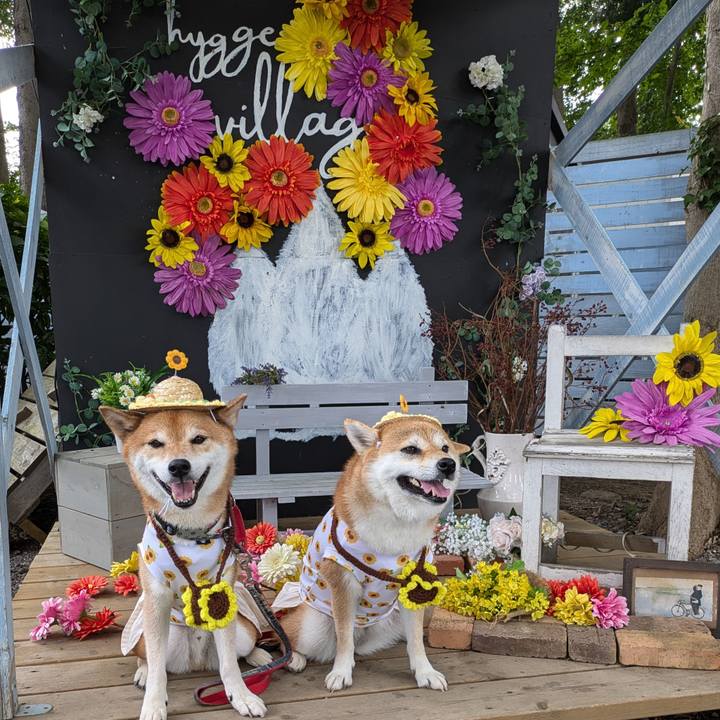 D2dc5d48 b0a2 4cb0 91c1 1462fe0cd465 1720681512683