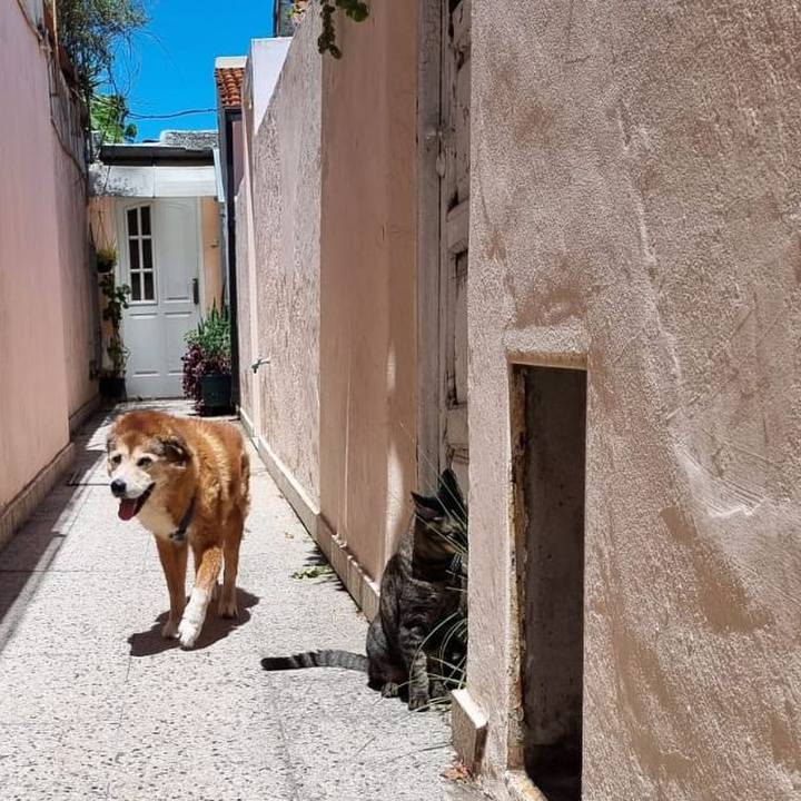 D2dc6011 b1c9 4eda abf2 7df1dbc4acea 1768694317689