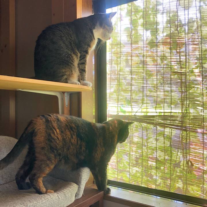 D2dc6233 986b 47a6 832d bea117bcfc09 1597454883406