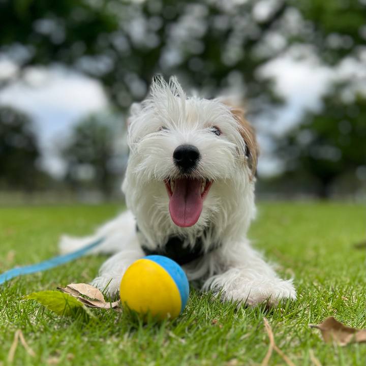 D2dc6715 6746 4eb9 8043 edba287d9f68 1758619367121