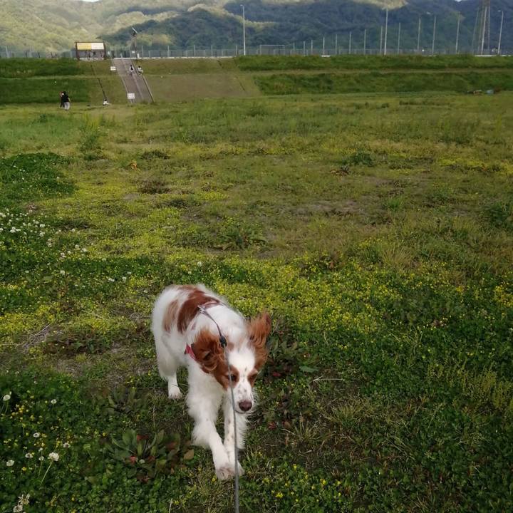 D2dc84d6 16ff 4682 a615 2b95f73963ea 1619350224971