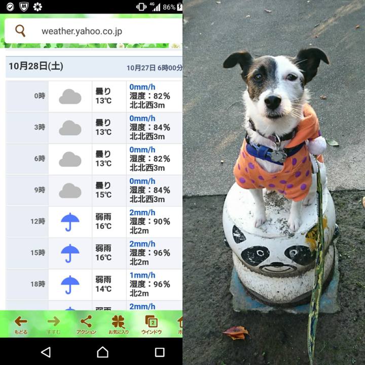 D2dc91c4 e806 4a99 a205 b00bf706dac4 1509056985704