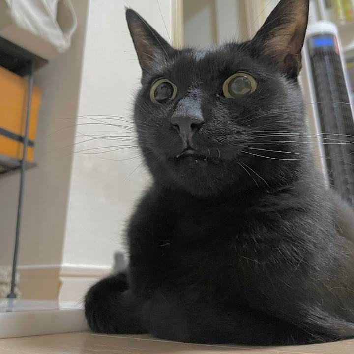 D2dcaa51 d53b 4459 b946 4e1a2144304c 1658155781113