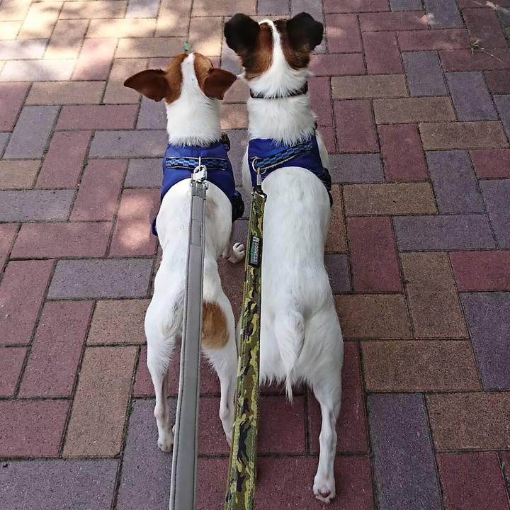 D2dcf369 6e1d 47d5 ad2c 64c62155f232 1526359066253