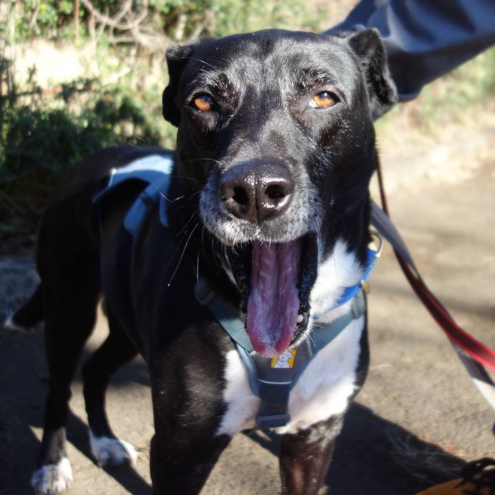 D2dd8392 e686 4fe5 adc0 f78f952d0da0 1711000993040