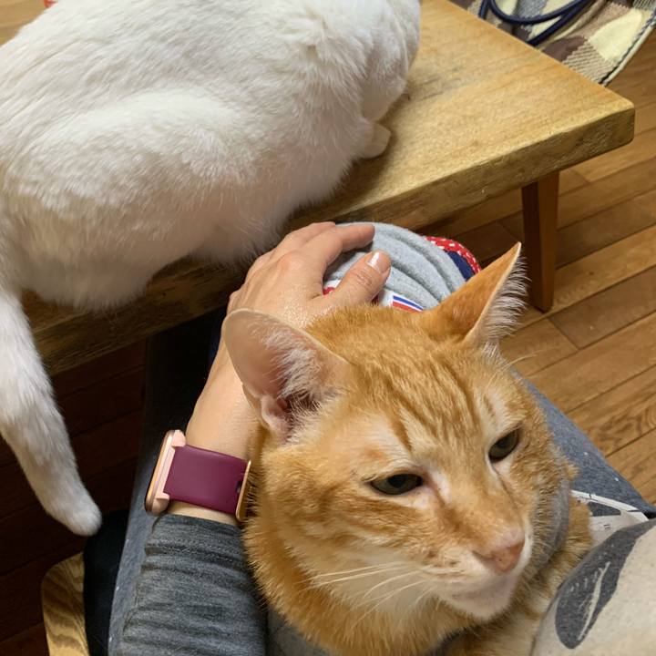 D2dd9fa3 a0bd 4a0c acd0 f72ffcb41292 1618869032524