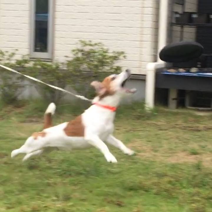 D2ddb22b 4c67 44c1 9659 557ce35ea65a 1535945944516