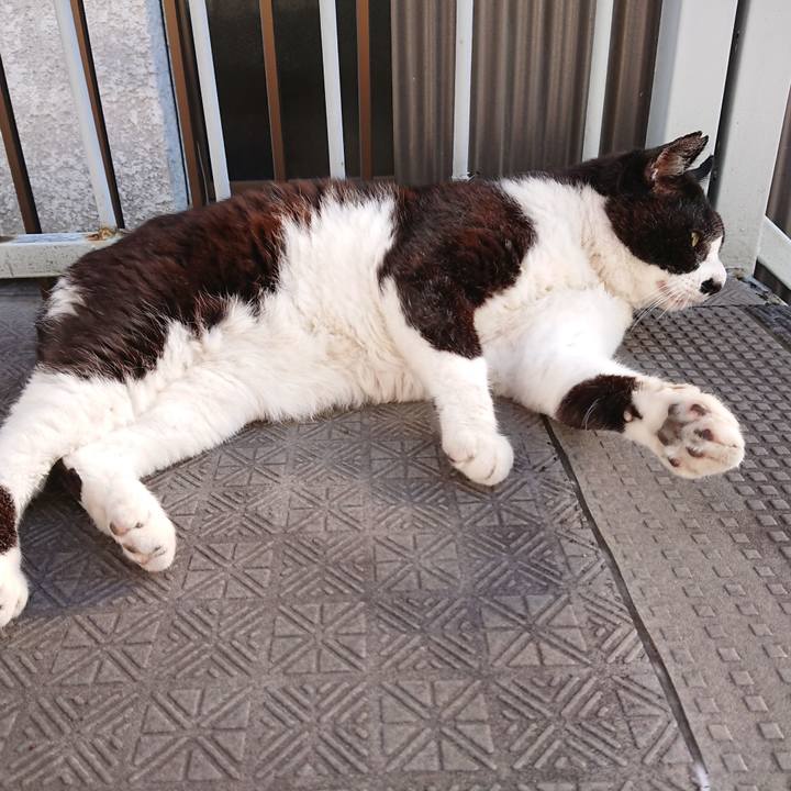 D2ddcda6 ef8c 4dfb 8707 8fe3f6c01042 1656193427887