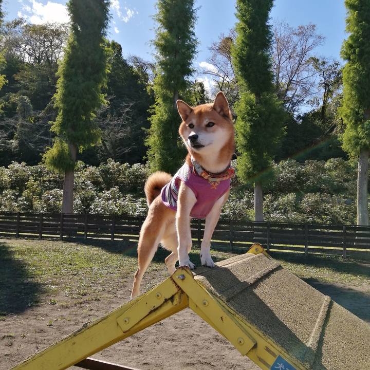 D2ddd032 5d2e 4711 a49c f6af96939afe 1634986726782