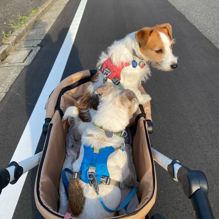 D2ddd797 f621 430a b06b 7fe659db0465 1717709225731