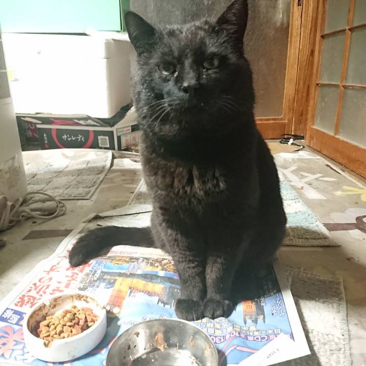 D2dde8e4 b425 4022 8c5c c9321be8d431 1652873037137