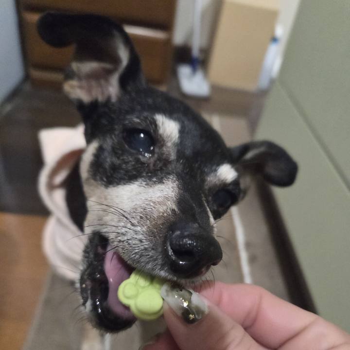 D2de136e 1edf 41fa 99f2 3047e735f35e 1769456839533