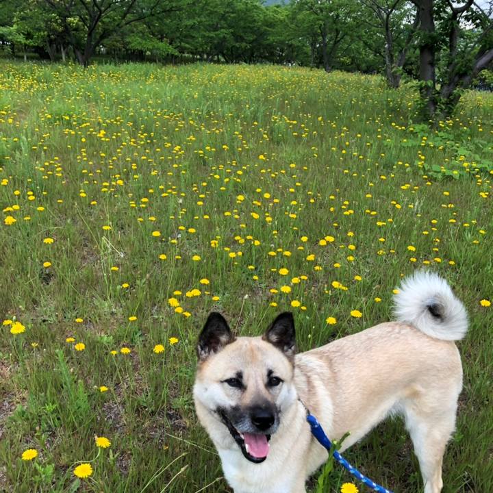 D2de34a2 01da 4db7 8be9 befd20773f08 1558233251332