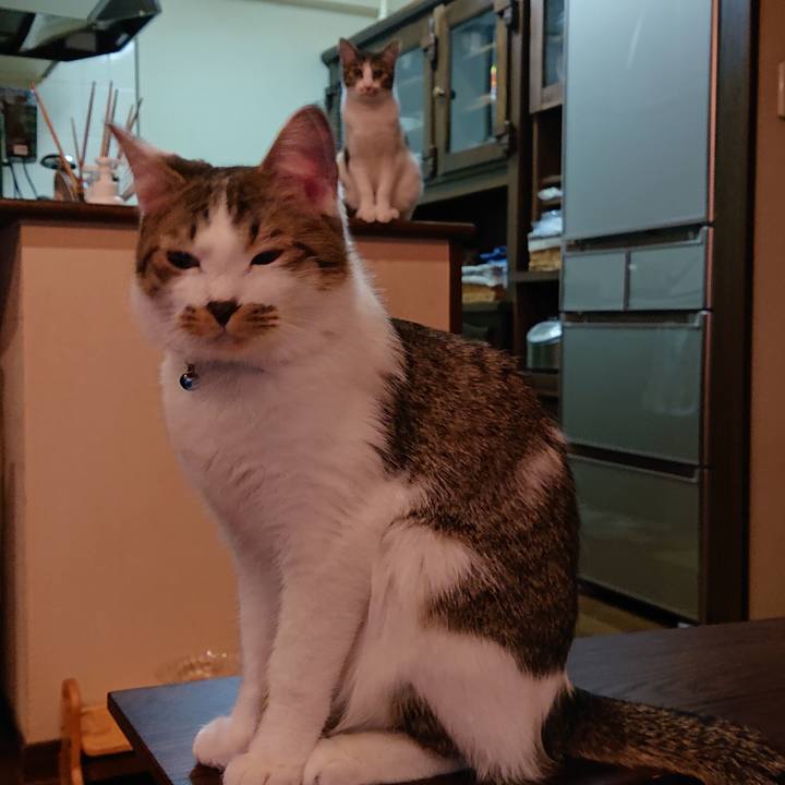 D2de459f 8bd7 4081 82d7 659f47a43bb1 1556884937196