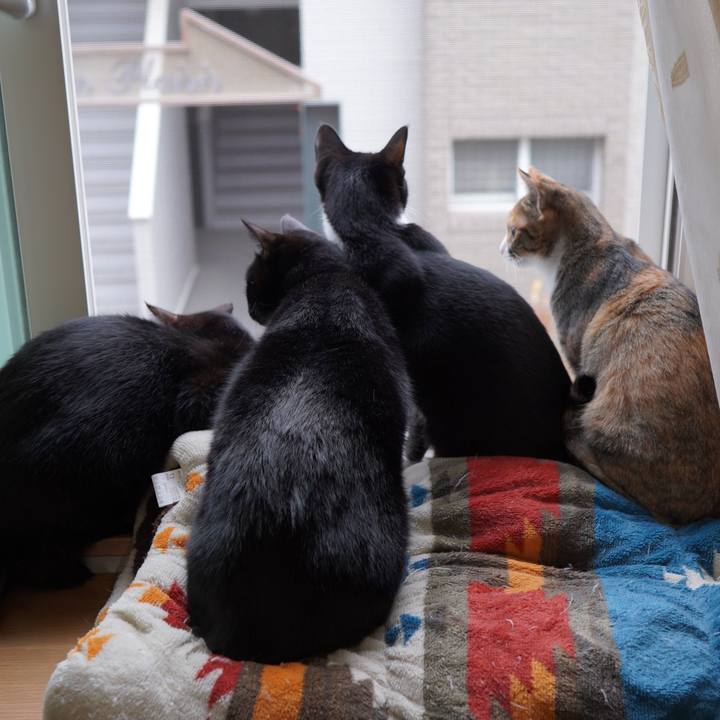 D2de4c55 a6e4 4edf ae08 09c63e1069bb 1585262983121