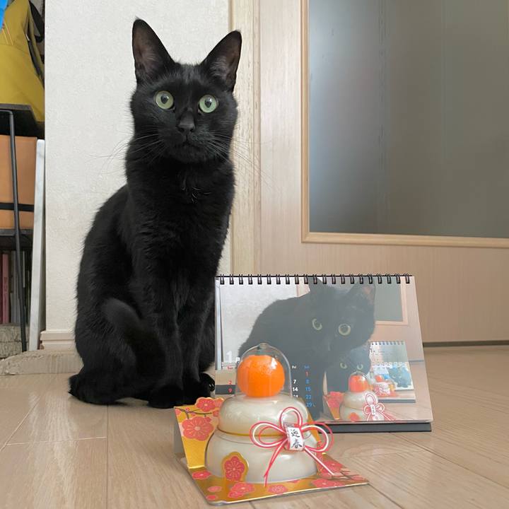 D2de6702 3348 454b a8c8 865cc2d237f0 1641005600371