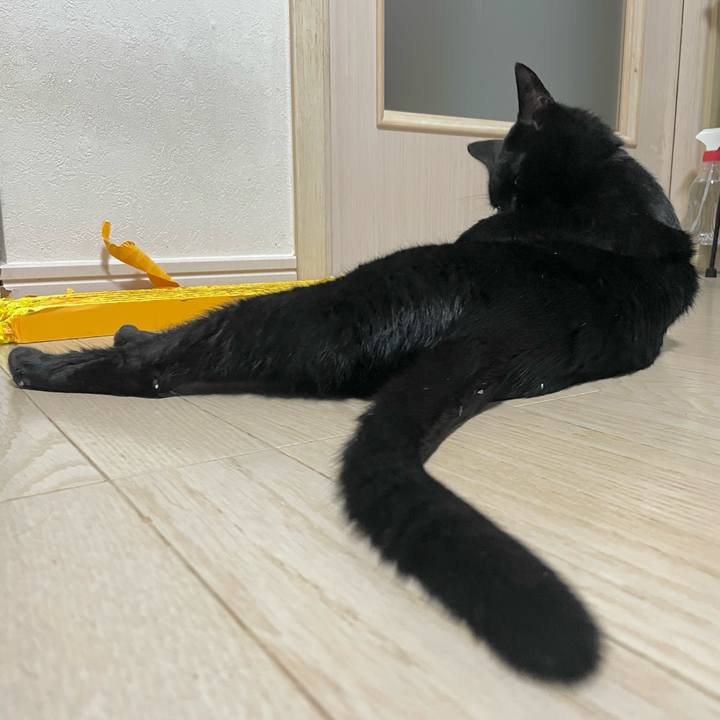 D2de7629 e088 4395 9a0b 03a6d2782fa8 1733746723631