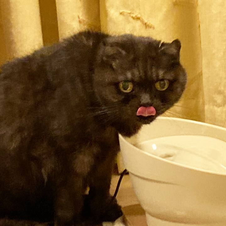 D2de82a6 3bdc 43b5 992a 8e5efe97ce7c 1610466348300