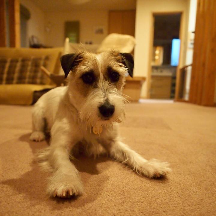 D2de85ed 9b37 4f0c ad1b 0cf7a82d6a12 1653393442879