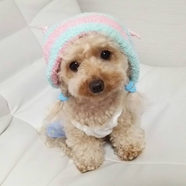 D2de9208 76e2 4a1a b51a 08f2c18c1e4b 1535972609334