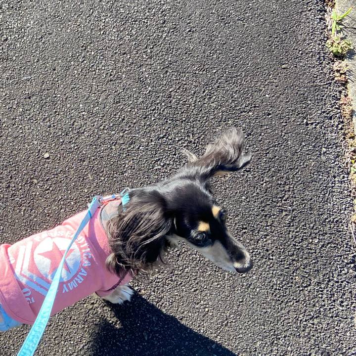 D2de9da3 2e61 4795 a675 37265ef95ca1 1731465590942