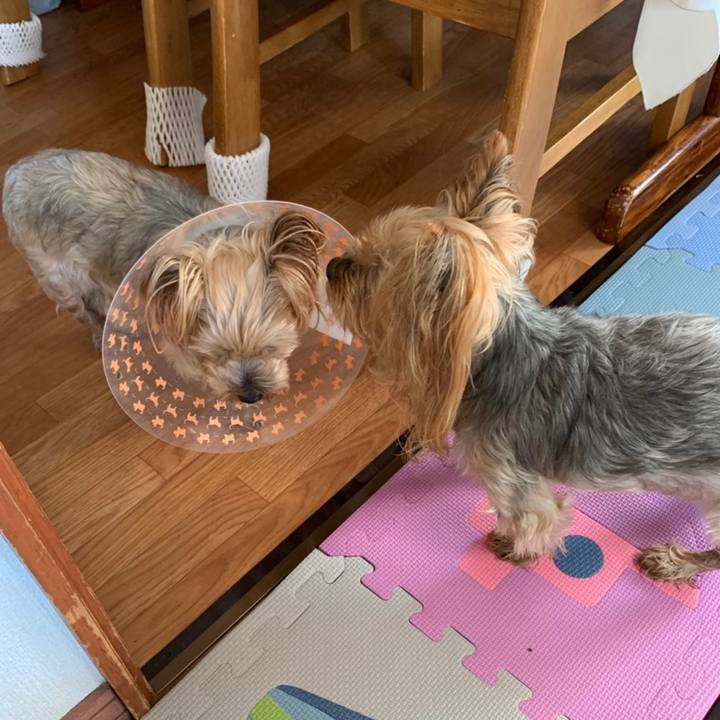 D2dea0c5 9944 4673 9f4e 417d51bb3091 1624181038864