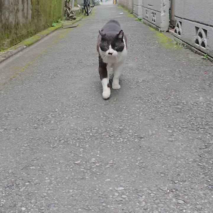 D2deaa8e 42e3 4344 a0e2 beda8f63fb50 1655887269235