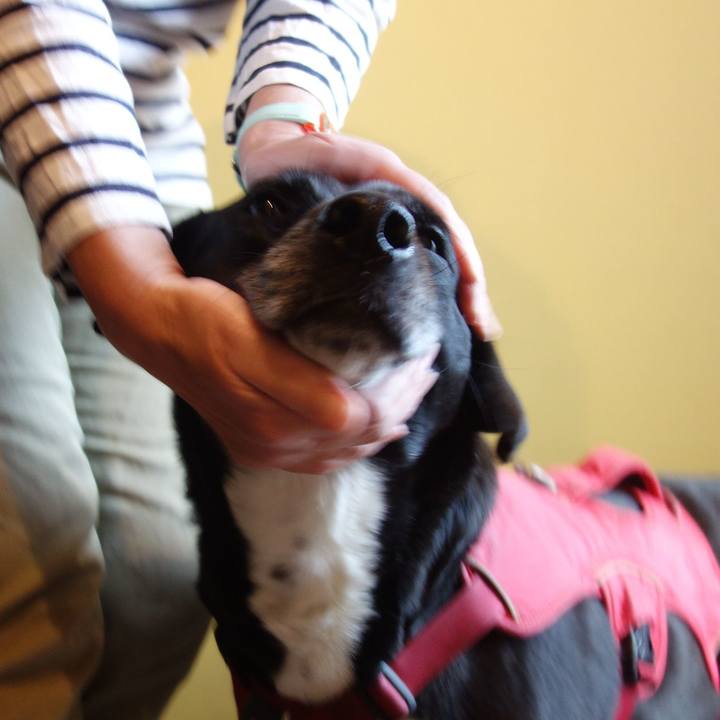 D2deb1fd fb09 4ad0 b85b 60dd4596015c 1683592558363