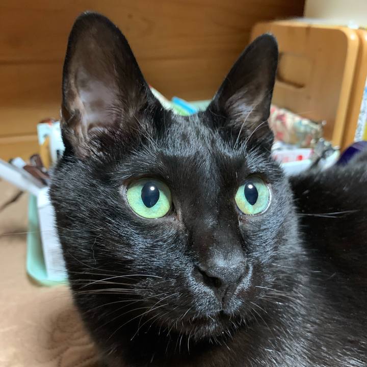 D2dec702 ec1b 49a6 a324 4468ce295449 1579355407707