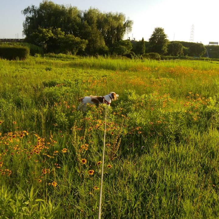 D2dee998 a6fe 4793 9a83 3ed45088b78d 1530452883674