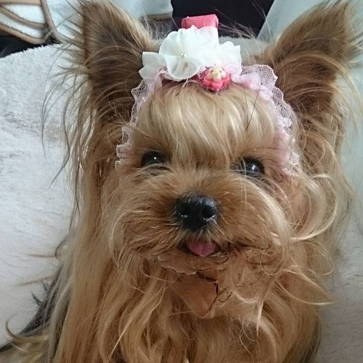 D2df33f6 4f9c 4219 b5e5 1a5aab9e5f6a 1655541095151