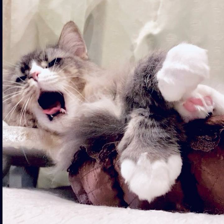 D2df4777 81a2 48f0 be34 fd4a9e5e8a36 1730827054120