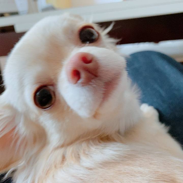 D2df519a 805e 451c b7a0 a15488ad1e9d 1613623153801