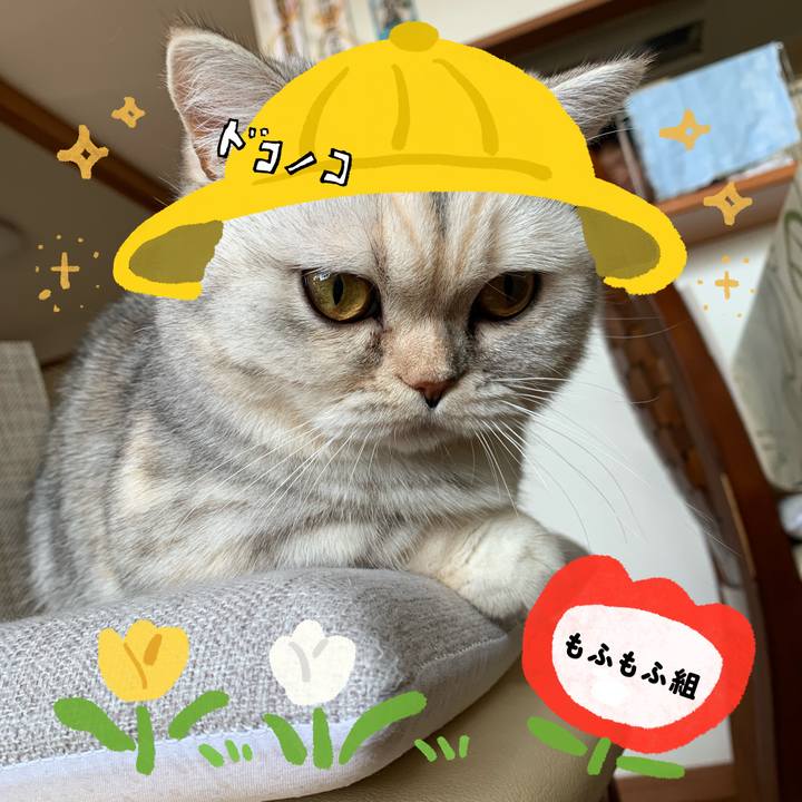 D2df59b5 9471 4017 8eb4 4349c251a292 1712528803316