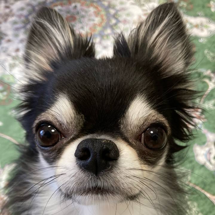 D2df5de4 7bba 4ad9 9c6e c97cacfa3a4e 1656717275567