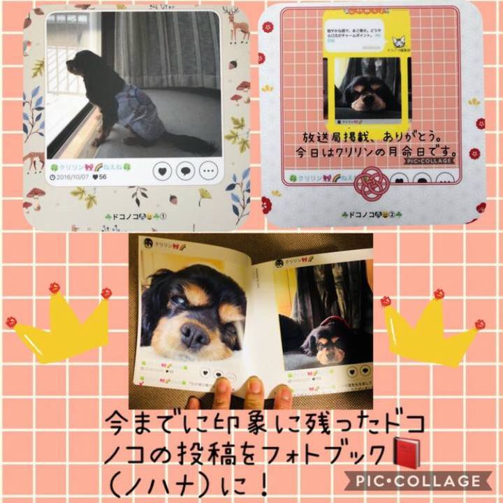 D2df63f3 68cd 4871 b8dd cde8638adc9b 1554188383794