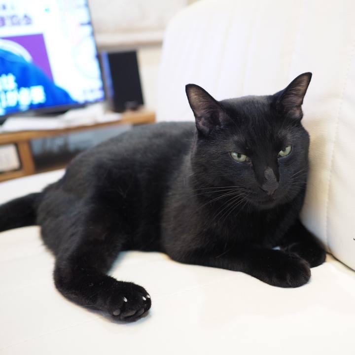 D2df9304 0a0f 4b21 a0af f1012d2e876c 1537953021921