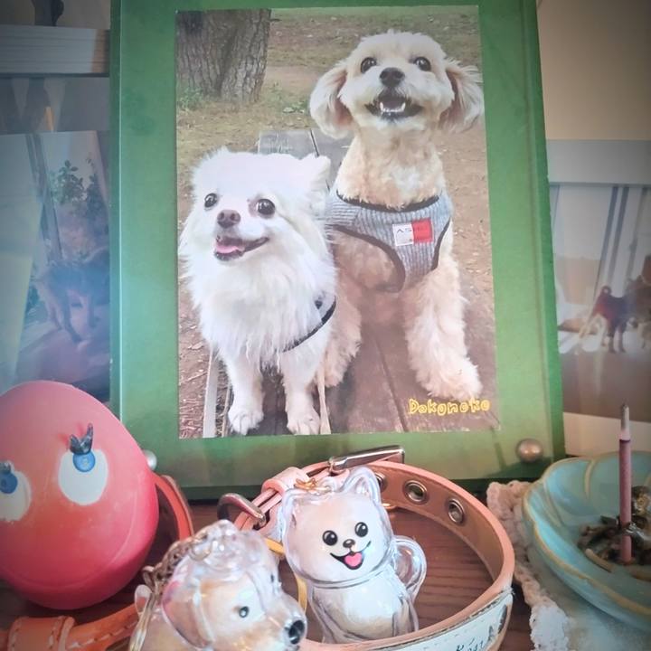 D2df969b 1637 479c a53d cddc2f85c3e0 1755296878978