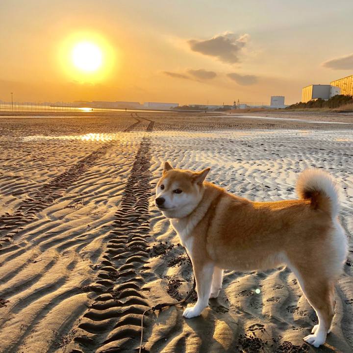 D2dfa360 d221 44d7 a195 ffcdac7aeca6 1552394349715