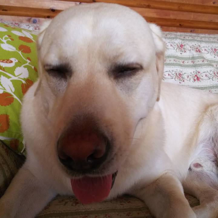 D2dfac7e 2a59 43ae 9d04 c60c684a8581 1532491826153