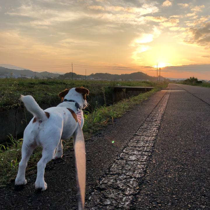 D2dfd096 c29f 4b76 a576 c035317cfbed 1537177105577