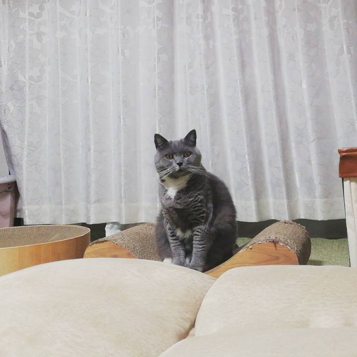 D2dfd896 0e8d 43da a3e3 4318ec09e950 1665828110155