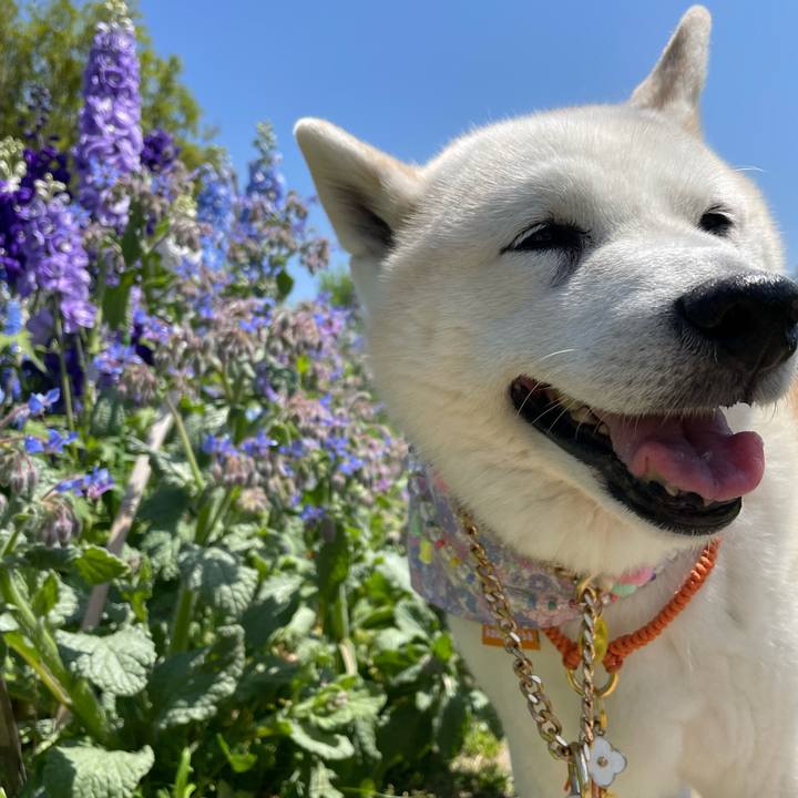 D2dfdcd0 d364 469b a27c da44a602fc16 1682157505811