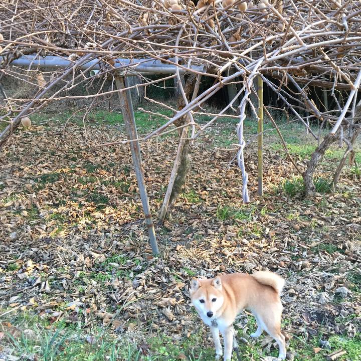 D2dfec4f 42b9 4d3d a97a ff486f3f4d53 1514881721028