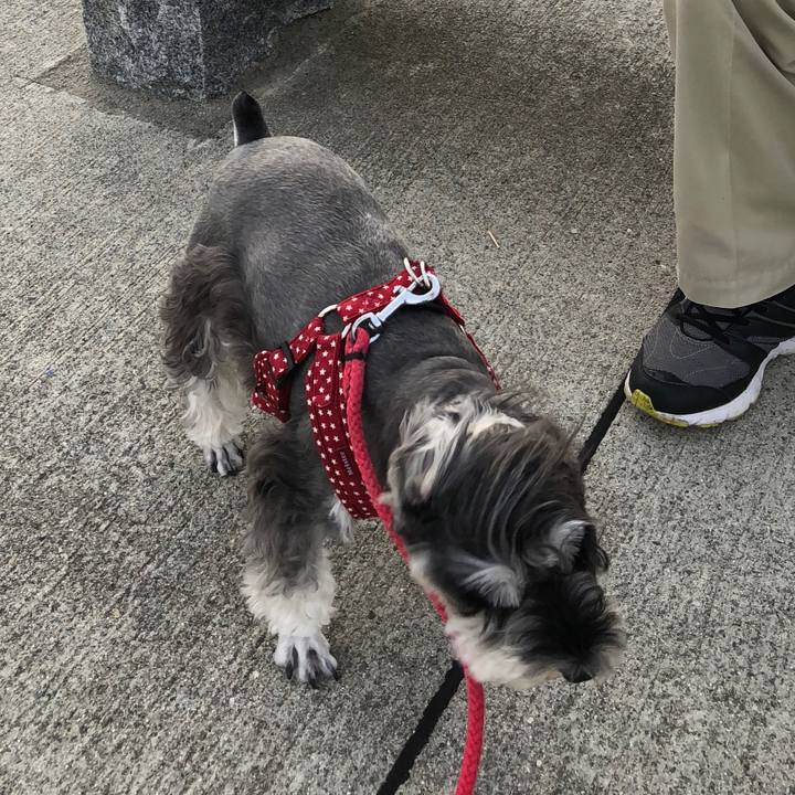 D2e009a0 1081 49b6 82cd c99062b7e341 1539336983771